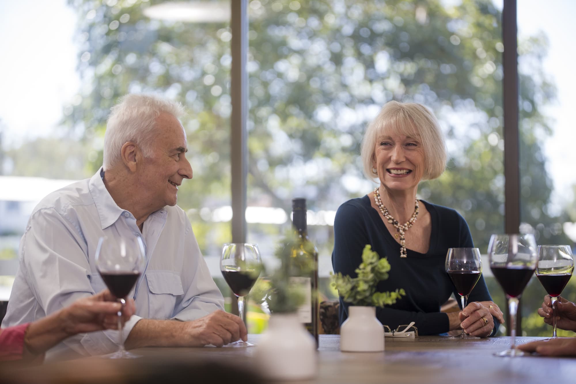 A group of older adults sitting around a table, enjoying glasses of red wine. Two people in focus are smiling and engaged in conversation. The background shows a window with a view of greenery outside.