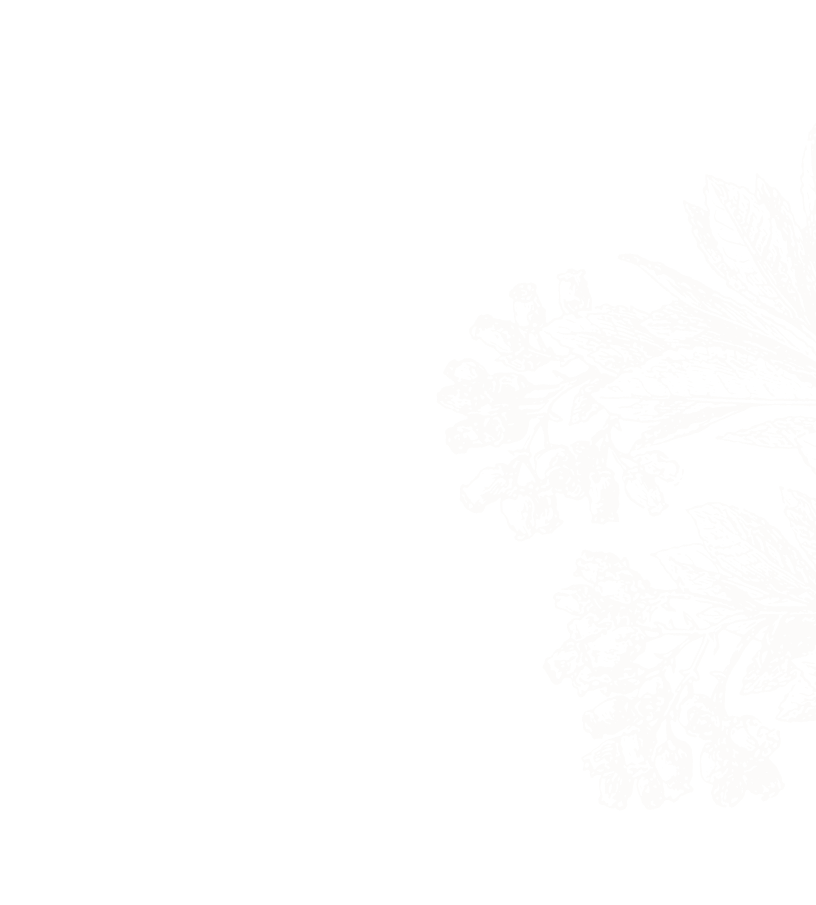 A minimal white background with a subtle, light beige floral and pine branch illustration in the lower right corner. The design is delicate and barely visible, creating a soft, elegant look.