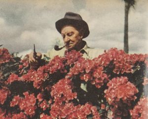 An elderly person wearing a hat, holding a pipe, stands behind a large bush of vibrant red flowers. They appear to be tending to or examining the flowers. The sky is partly cloudy in the background.