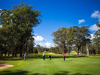 Golfers are playing on a lush green golf course surrounded by tall trees under a bright blue sky with scattered clouds. Three people are visible near the hole, with golf bags and trolleys nearby.