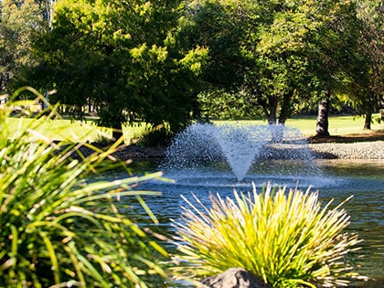 A serene park scene with a central fountain spraying water in a pond, surrounded by lush green trees and shrubs. Sunlight filters through the foliage, casting dappled shadows on the water's surface.