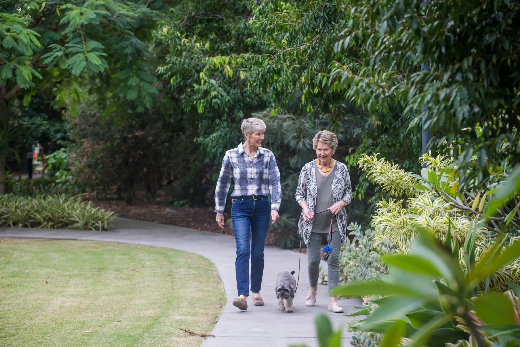 Two older women walk together on a tree-lined path in a park, one holding a small dog on a leash. They are engaged in conversation and surrounded by lush greenery.