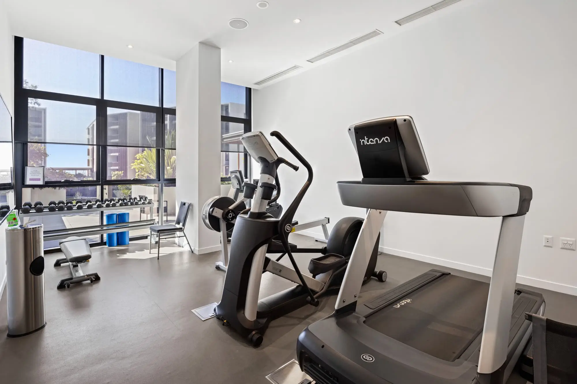 Bright, modern gym with large windows, a treadmill, an elliptical machine, free weights on a rack, bench, and a trash can; natural light fills the clean, spacious room.